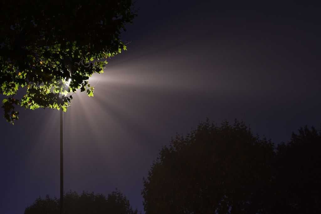 London/Forest Hill/DSC_6169_edited.JPG